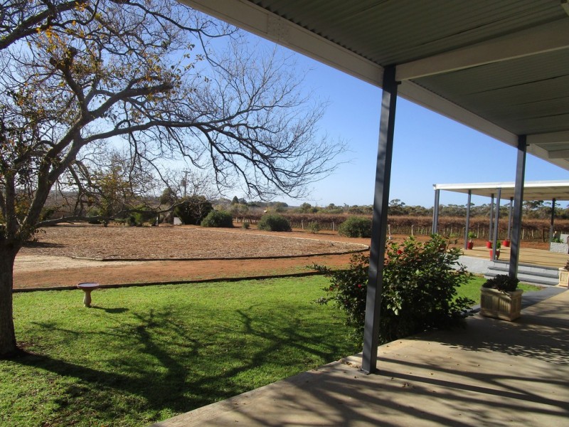56 Costello Road, Loveday SA 5345