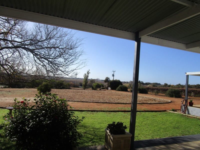 56 Costello Road, Loveday SA 5345