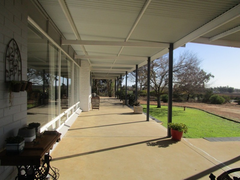 56 Costello Road, Loveday SA 5345