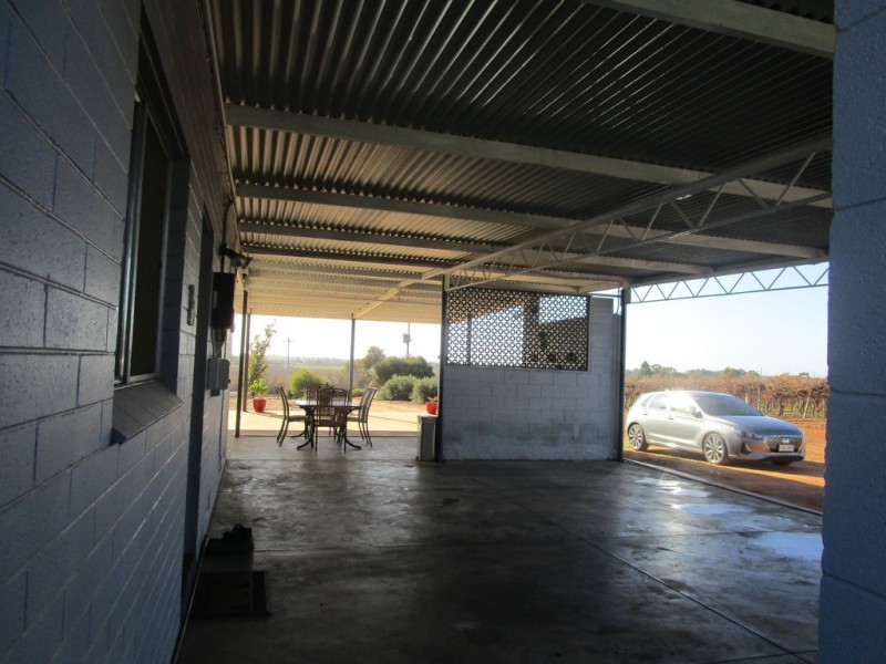 56 Costello Road, Loveday SA 5345