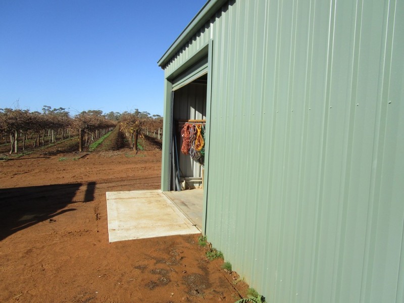 56 Costello Road, Loveday SA 5345