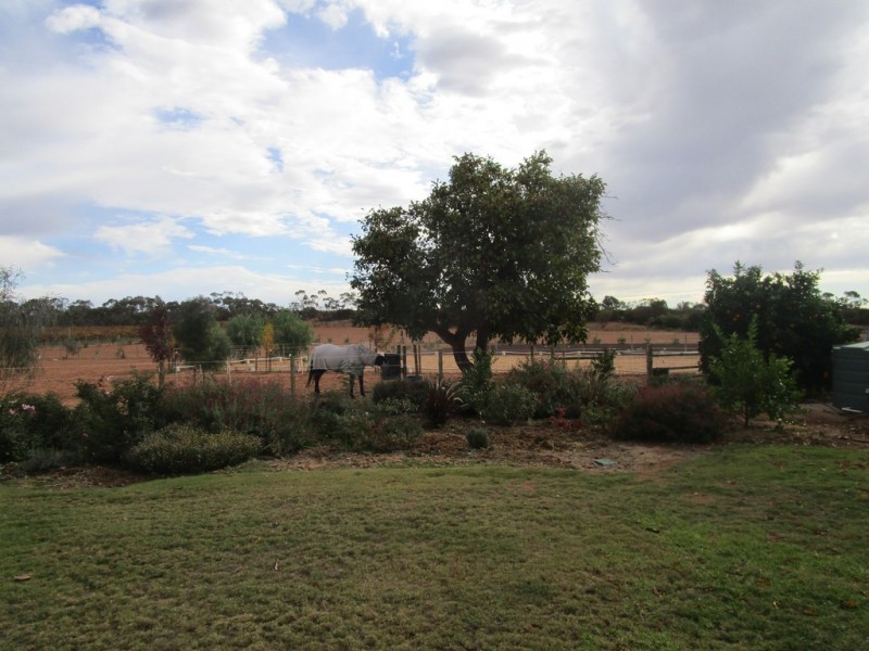 61 Moss Road, Monash SA 5342