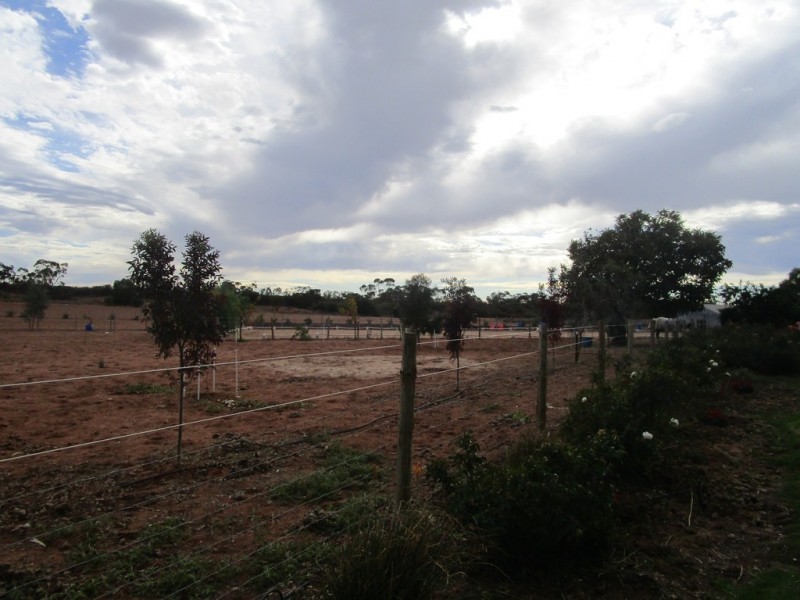 61 Moss Road, Monash SA 5342