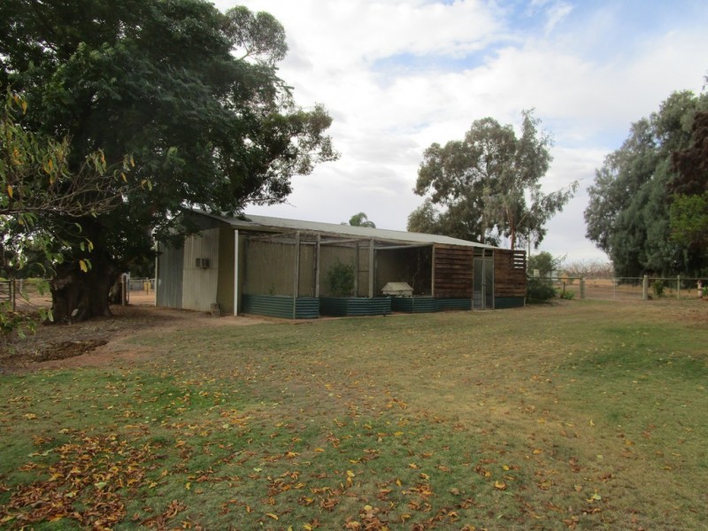 61 Moss Road, Monash SA 5342