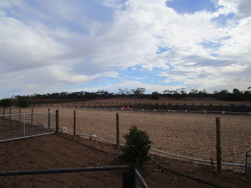 61 Moss Road, Monash SA 5342