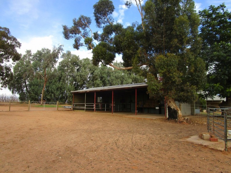 61 Moss Road, Monash SA 5342