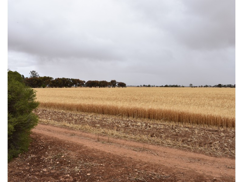 1610 Germantown Road, Redbanks SA 5502