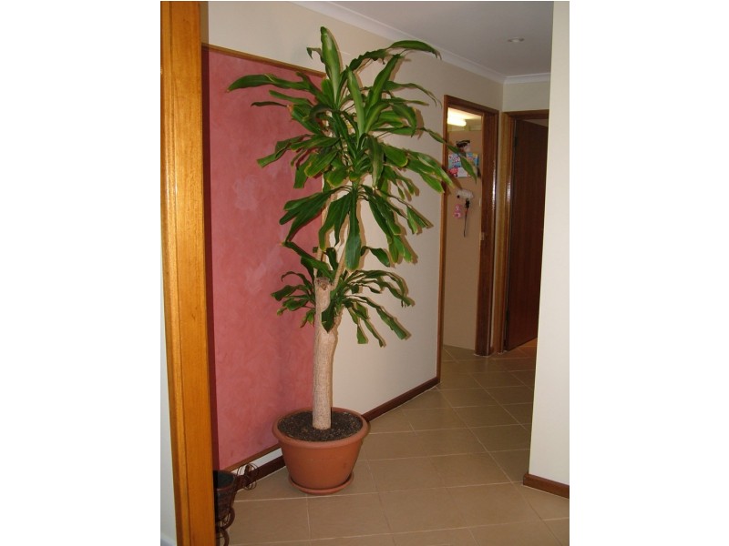 6 HAMILTON COURT, Roxby Downs SA 5725