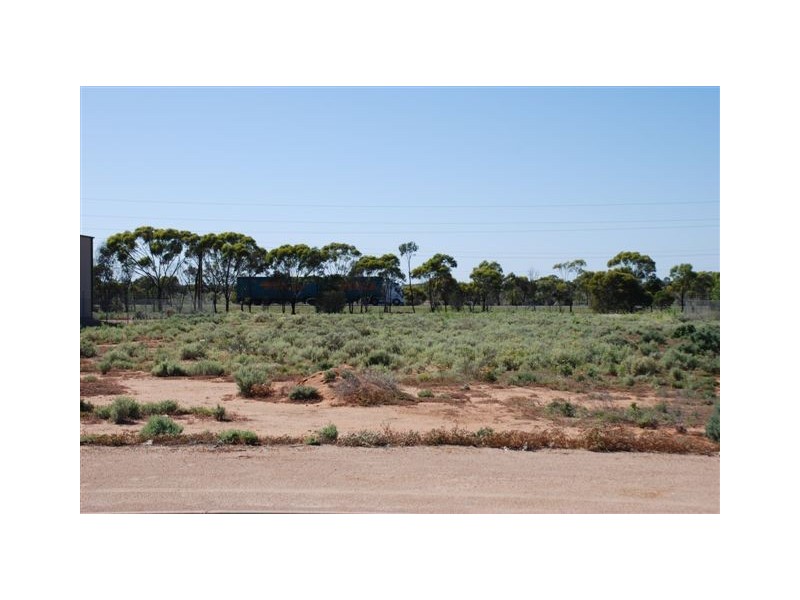 7 Kuhlmann Road, Renmark SA 5341