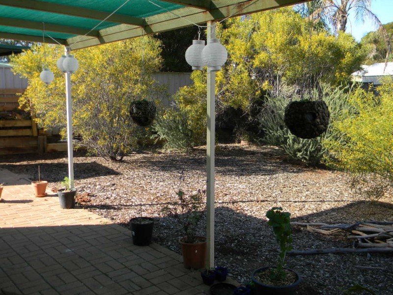 6 EMEROO COURT, Roxby Downs SA 5725