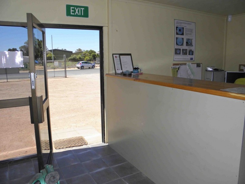 20 Verrall Crescent, Berri SA 5343