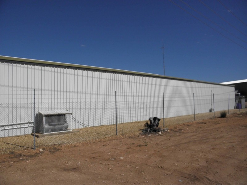 20 Verrall Crescent, Berri SA 5343