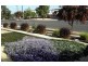 7 Verran Terrace, Berri SA 5343