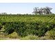 Lot 47 Phillips Road, Berri SA 5343