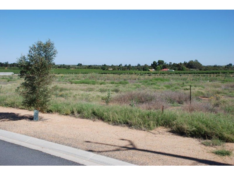 Lot 47 Phillips Road, Berri SA 5343