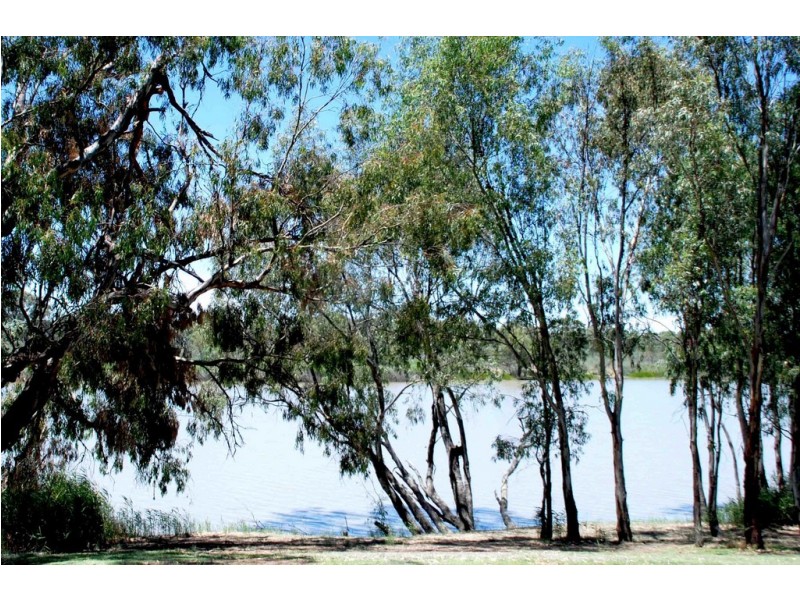 2 Alma Street, Renmark SA 5341