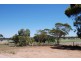 Lot 200 Hughes Avenue, Paringa SA 5340