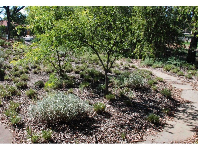 Unit 1/92 Cowra Street, Renmark SA 5341