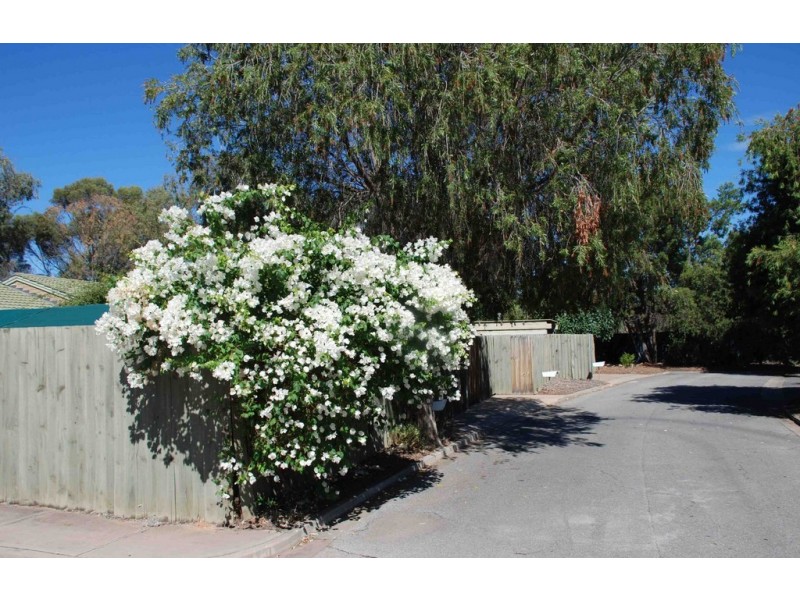 Unit 1/92 Cowra Street, Renmark SA 5341