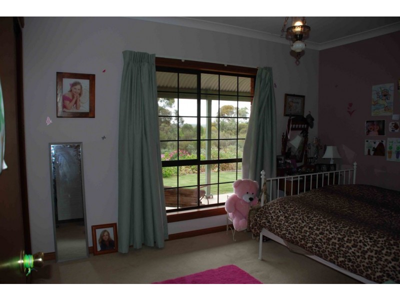 Lot 354 Cooltong Road, Renmark SA 5341