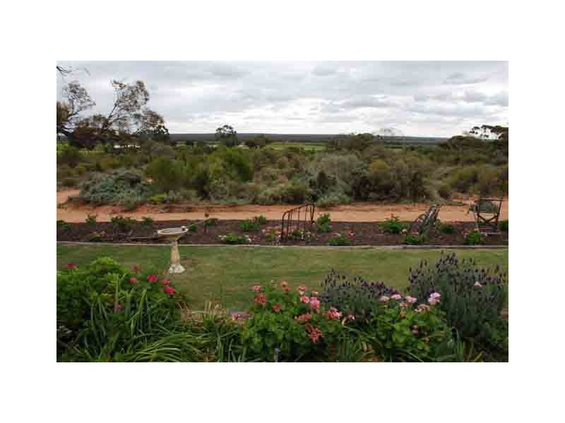 Lot 354 Cooltong Road, Renmark SA 5341