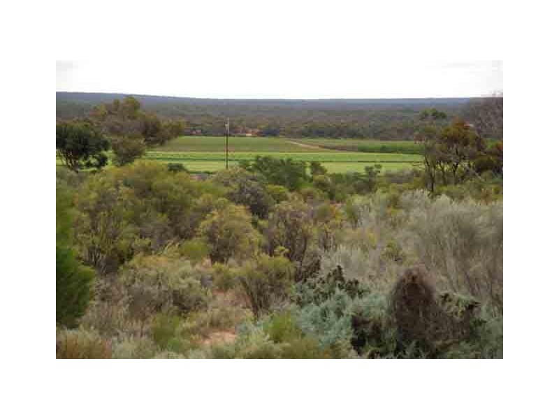 Lot 354 Cooltong Road, Renmark SA 5341