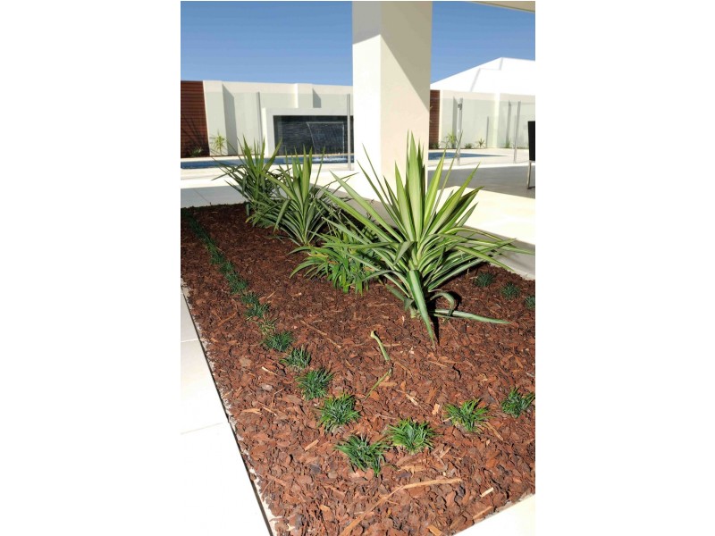 43 Twenty-Sixth Street, Renmark SA 5341