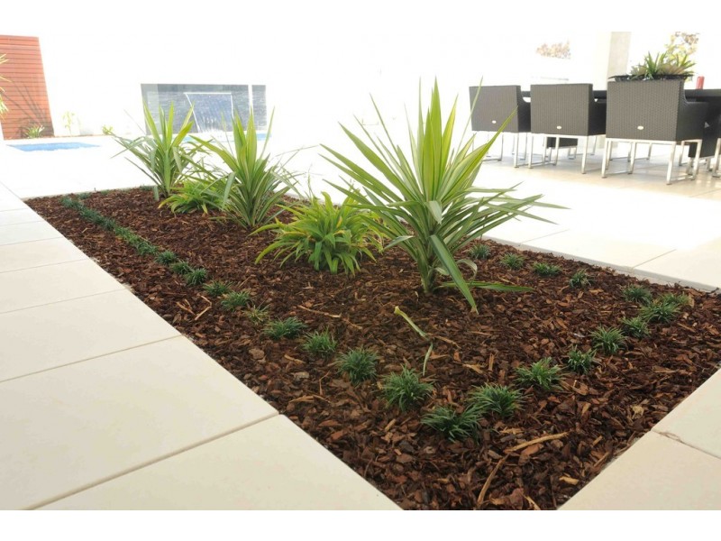 43 Twenty-Sixth Street, Renmark SA 5341