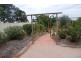 8 Warrakoo Court, Paringa SA 5340