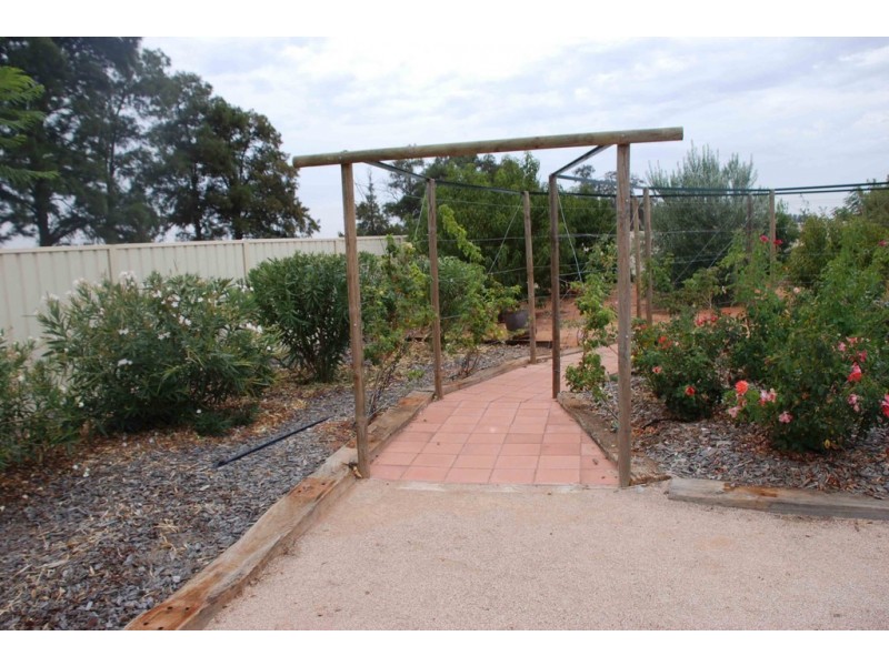 8 Warrakoo Court, Paringa SA 5340