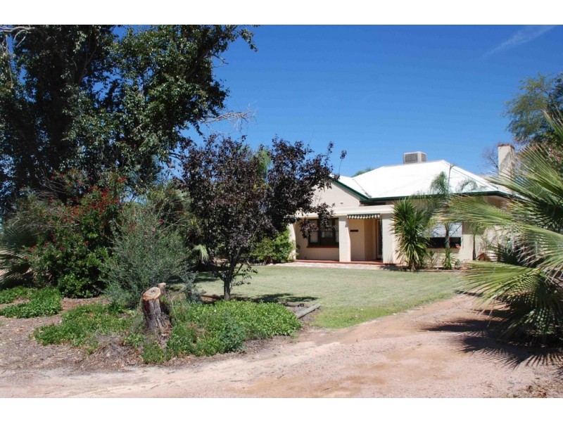 74 Arumpo Street, Renmark SA 5341