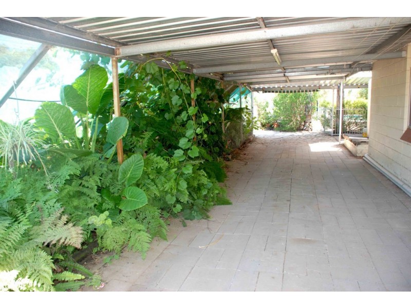 74 Arumpo Street, Renmark SA 5341