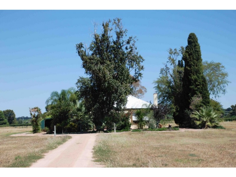 74 Arumpo Street, Renmark SA 5341