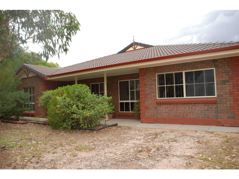 117 Orroroo Street, Renmark SA 5341