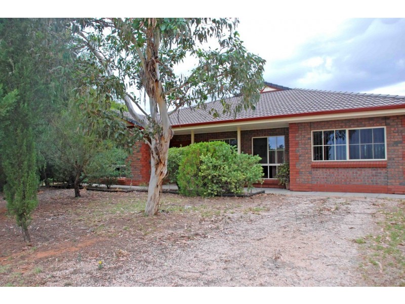 117 Orroroo Street, Renmark SA 5341