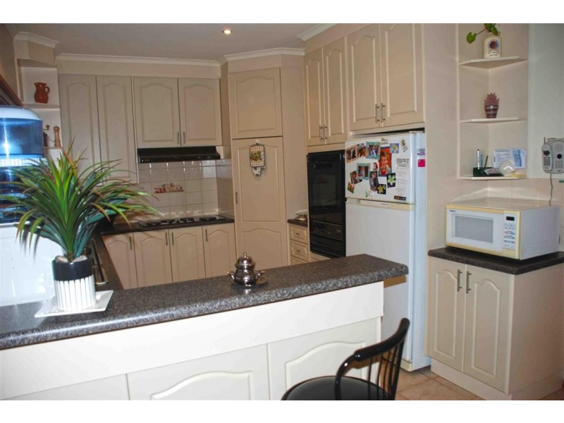 117 Orroroo Street, Renmark SA 5341