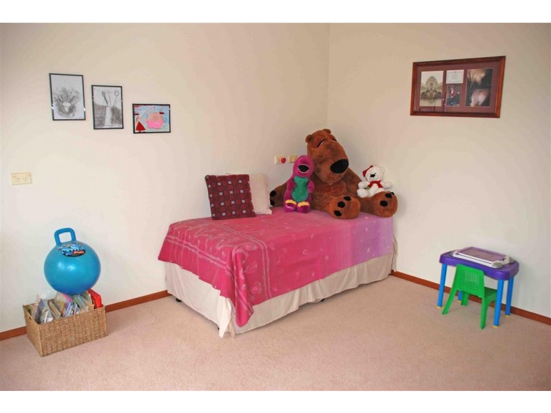 117 Orroroo Street, Renmark SA 5341