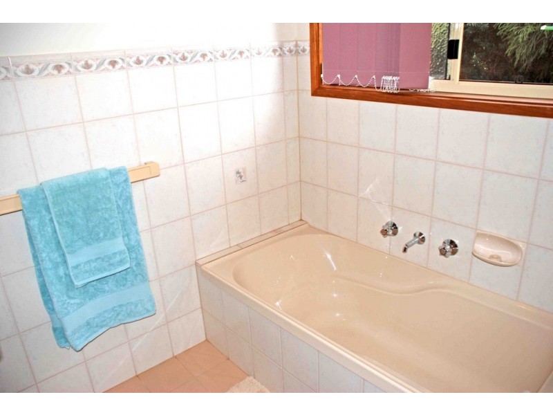 117 Orroroo Street, Renmark SA 5341