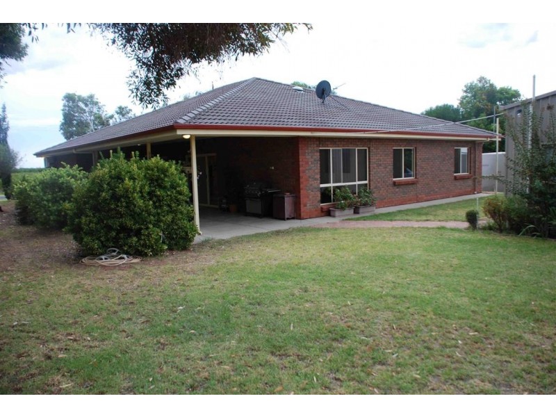 117 Orroroo Street, Renmark SA 5341
