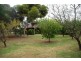117 Orroroo Street, Renmark SA 5341