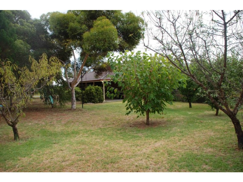 117 Orroroo Street, Renmark SA 5341