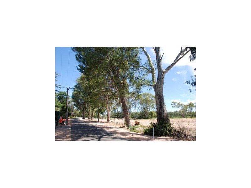 Lot 40 Evans Street, Renmark SA 5341