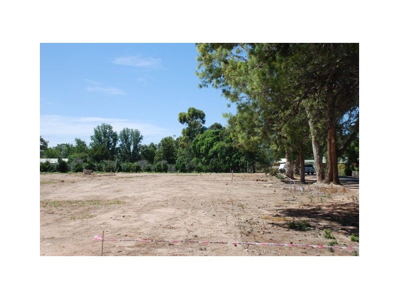 Lot 40 Evans Street, Renmark SA 5341