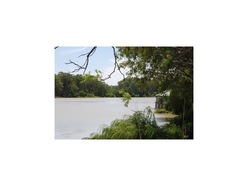 Lot 40 Evans Street, Renmark SA 5341