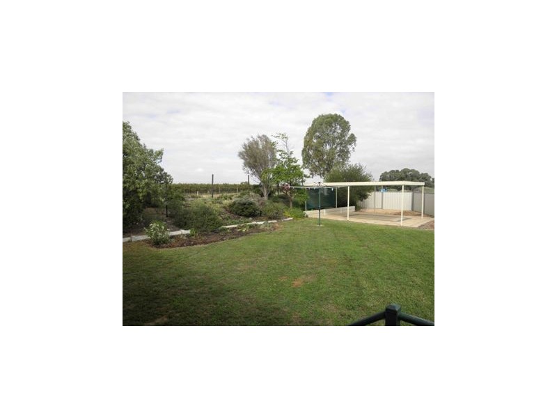 113 Nelwart Street, Renmark SA 5341