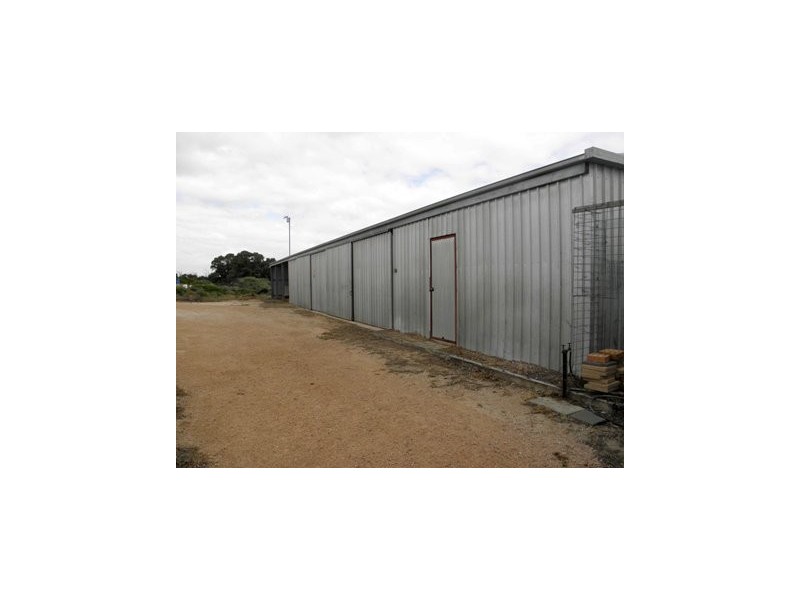 113 Nelwart Street, Renmark SA 5341