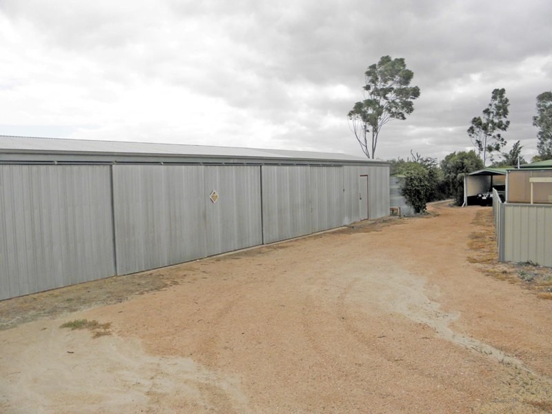 113 Nelwart Street, Renmark SA 5341
