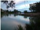 3076 Murtho Road, Paringa SA 5340