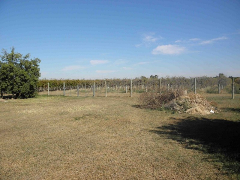 464 Kulkyne Street, Renmark SA 5341