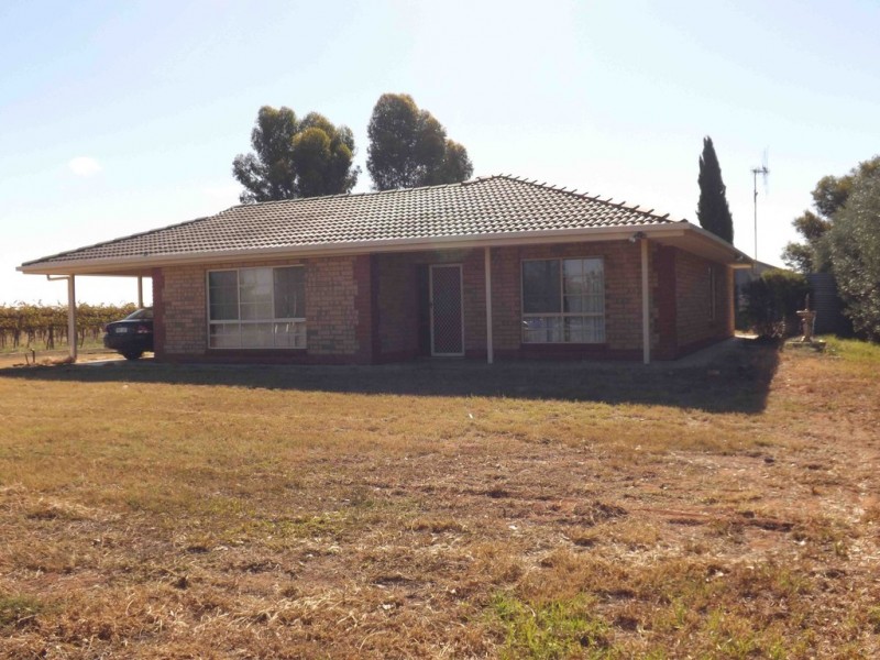 20 Twenty-fourth Street, Renmark SA 5341